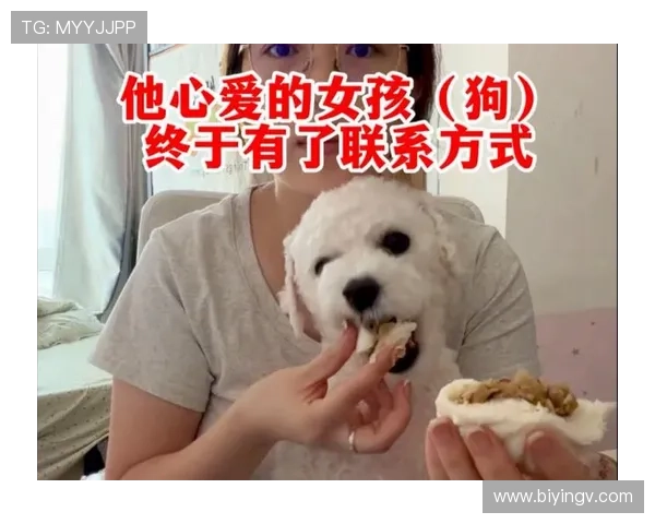 围绕爱情狗展开的都市奇缘暖心治愈剧真情流转守护成长