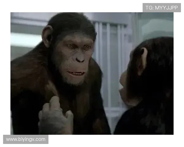 《半泽直树2》：职场生存的教科书，还是个人英雄主义的终结？